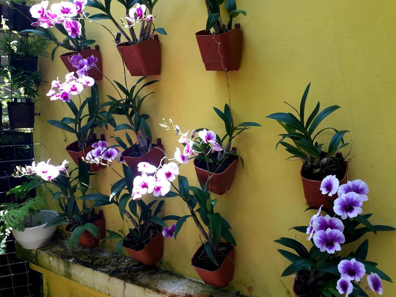 Vivaresidence Homestay Alappuzha Exterior photo